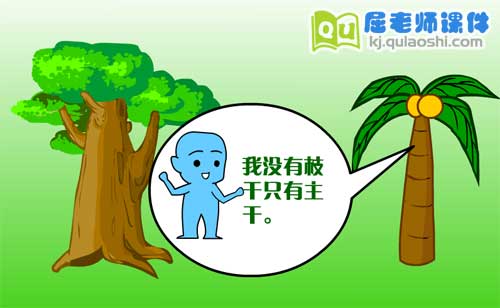 幼儿大班科学《认识树的构造》FLASH动画课件