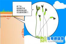 大班科学《不喜欢阳光的植物-苔藓类》FLASH动画课件下载