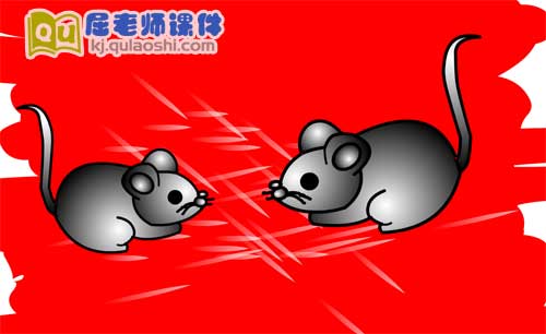 大班美术课件《老鼠》FLASH动画课件1
