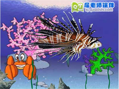 大班美术课件《美丽的海洋鱼》FLASH动画课件