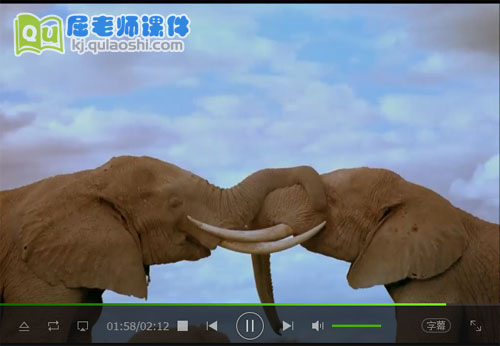大象视频MP4——3