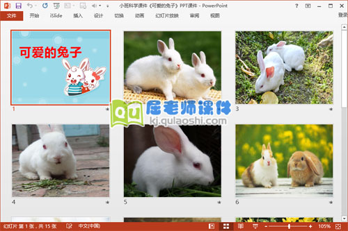 小班科学课件《可爱的兔子》PPT课件2