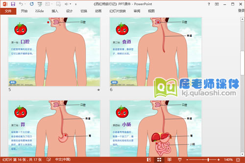 大班科学课件《西红柿旅行记》PPT课件教案学具图片3