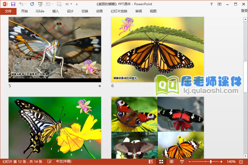 中班美术课件《美丽的蝴蝶》PPT课件教案学具图片3