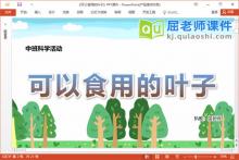 中班科学课件《可以食用的叶子》教案学具PPT课件