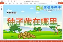 大班科学优质课件《种子藏在哪里》教案PPT课件下载