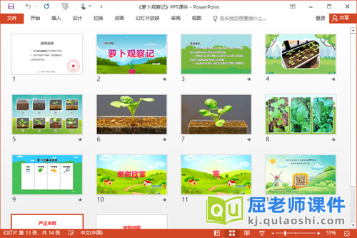 小班科学课件《萝卜观察记》PPT课件教案2