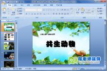 大班主题《动物大世界》PPT课件下载