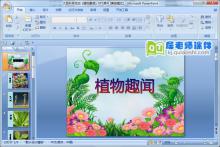 大班科学活动《植物趣闻》PPT课件下载