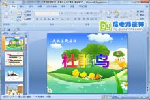 大班主题活动《杜鹃鸟》PPT课件下载