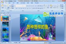 中班主题活动《各种各样的鱼》PPT课件下载