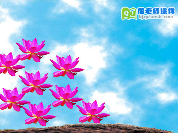 幼儿园中班科学《小树的四季》FLASH动画课件