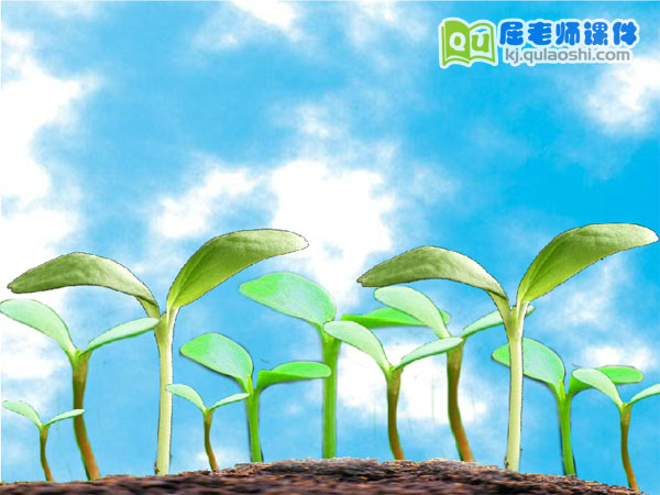 幼儿园中班科学《小树的四季》FLASH动画课件