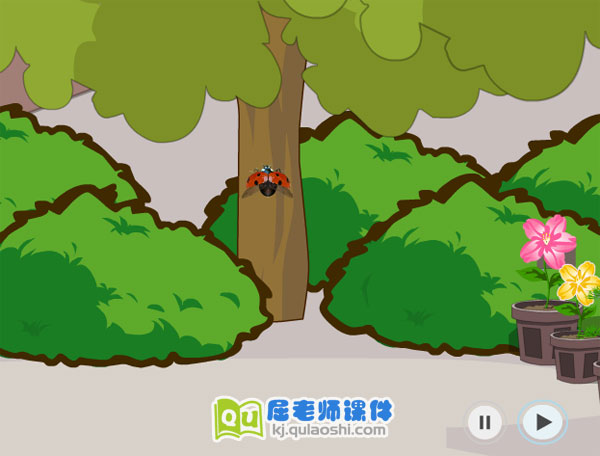 小班律动音乐《顽皮小瓢虫》FLASH课件