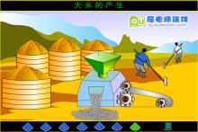 小班科学活动《大米的产生》FLASH动画课件下载