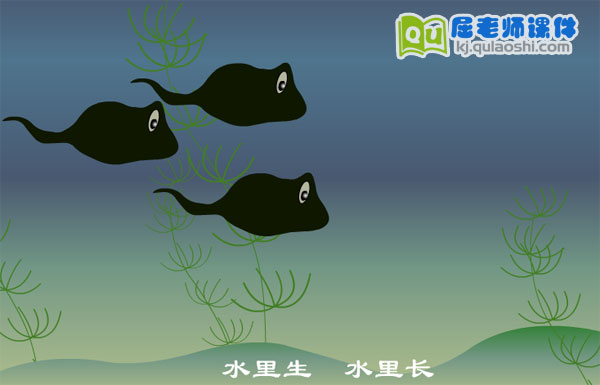 小班社会《小蝌蚪找妈妈》FLASH动画课件2