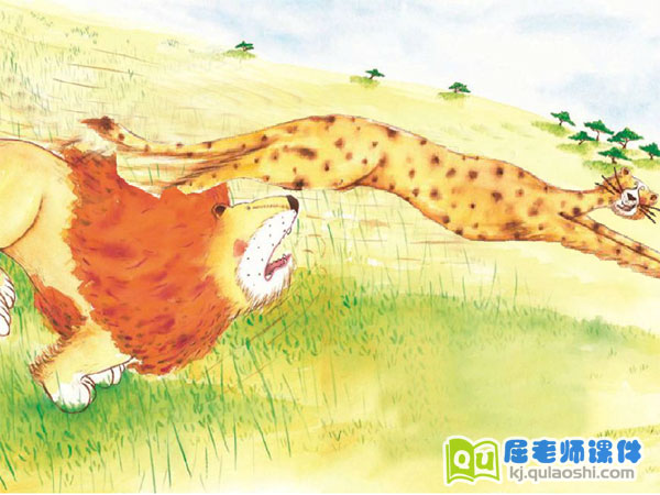 中班绘本故事《谁敢嘲笑狮子》FLASH动画课件3