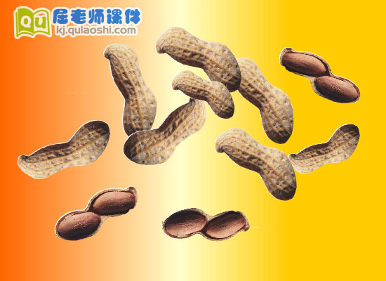 幼儿园小班健康《剥一剥》FLASH课件3