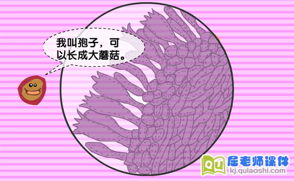 幼儿园大班科学《雨伞下面是什么》FLASH课件3