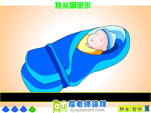 幼儿园大班科学《我从哪里来》FLASH动画课件4