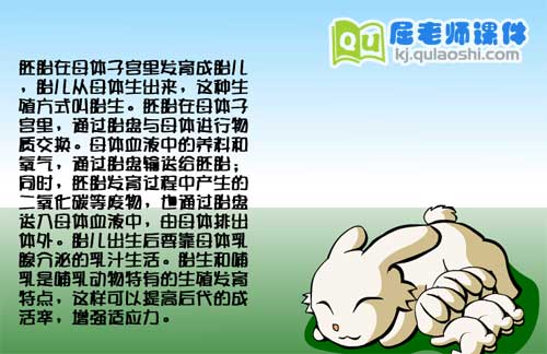 大班科学《辛苦的兔妈妈》FLASH课件3