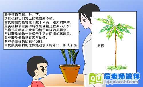幼儿园学前班科学《古老的蕨类植物》FLASH课件1
