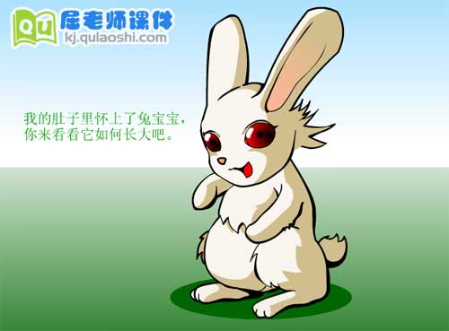 大班科学《辛苦的兔妈妈》FLASH课件1