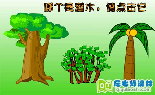 幼儿大班科学《认识树的构造》FLASH动画课件