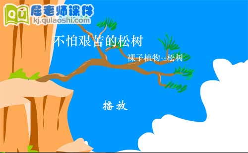 大班科学《不怕艰苦的松树》FLASH动画课件1