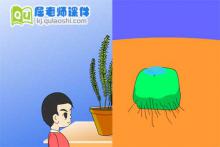 学前班科学《古老的蕨类植物》FLASH课件下载