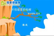 大班科学《不怕艰苦的松树》FLASH动画课件下载