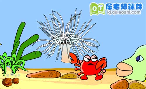 学前班科学《厉害的朋友(共栖)》FLASH课件2