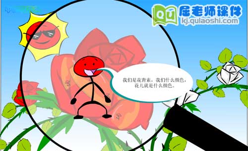 大班科学《花朵的颜色》FLASH动画课件2