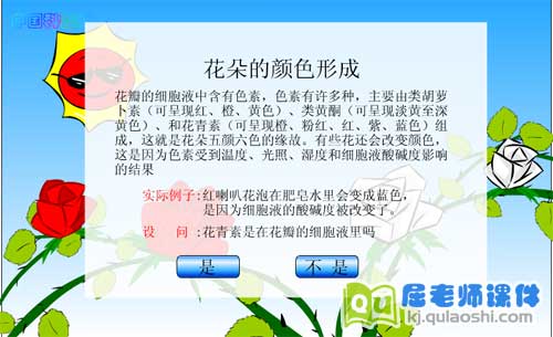 大班科学《花朵的颜色》FLASH动画课件3