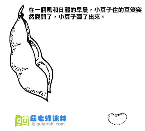 学前班科学《植物的一生》FLASH动画课件1