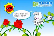 大班科学《花朵的颜色》FLASH动画课件
