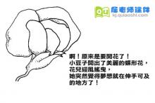 学前班科学《植物的一生》FLASH动画课件