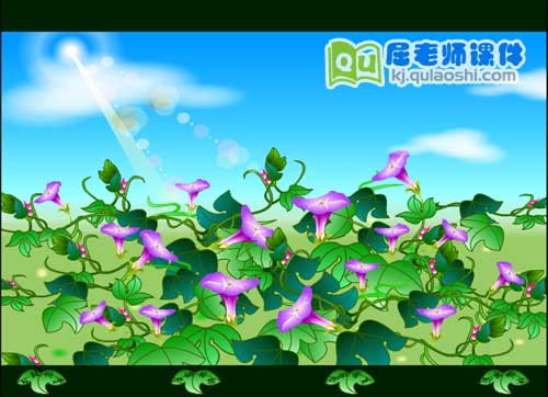 大班语言课件《牵牛花》FLASH动画课件2