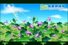 大班语言课件《牵牛花》FLASH动画课件下载