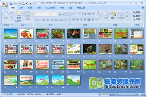 大班科学课件《种子的旅行》PPT课件