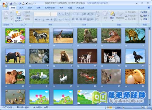 大班科学课件《动物家族》PPT课件