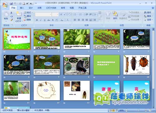 大班科学课件《彩蝶和夜蝶》PPT课件