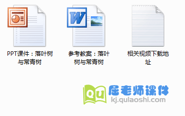 大班科学课件《落叶树与常青树》PPT课件+视频+教案