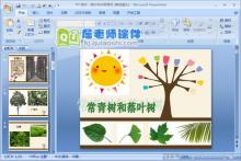 大班科学课件《落叶树与常青树》PPT课件下载