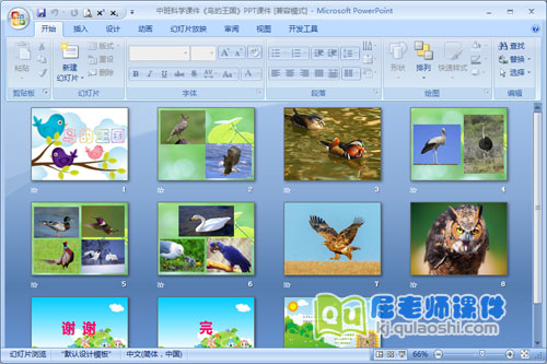 中班科学课件《鸟的王国》PPT课件2