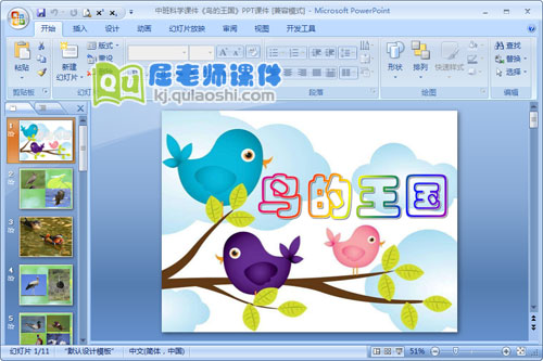 中班科学课件《鸟的王国》PPT课件
