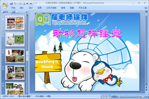 大班科学课件《动物怎样睡觉》PPT课件
