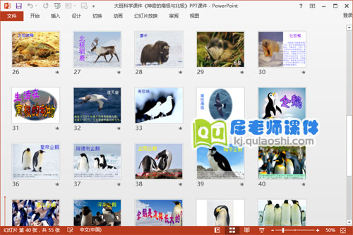 大班科学课件《神奇的南极与北极》PPT课件