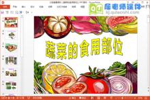 大班健康课件《蔬菜的食用部位》PPT课件下载