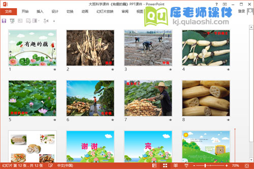 大班科学课件《有趣的藕》PPT课件教案2